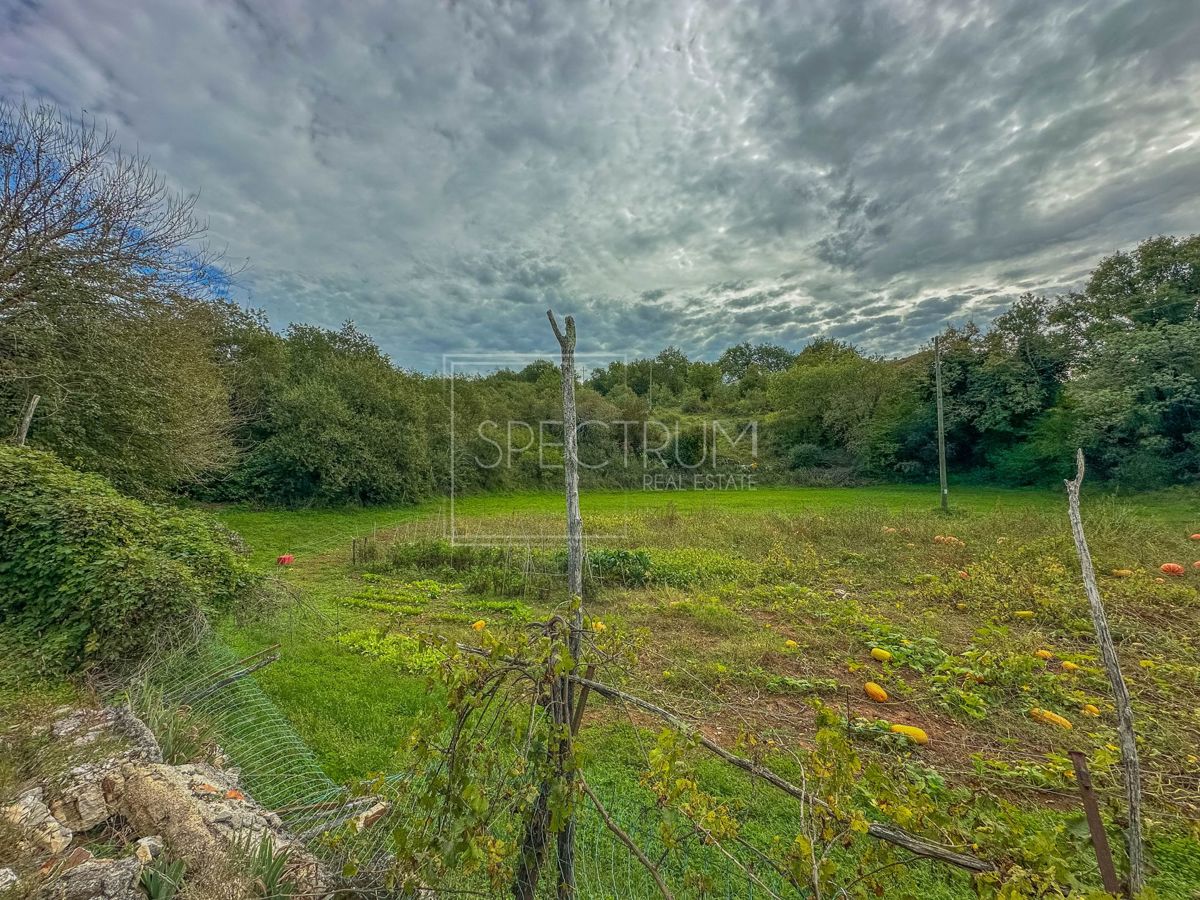 Zona di Grisignana, casa indipendente con ampio terreno