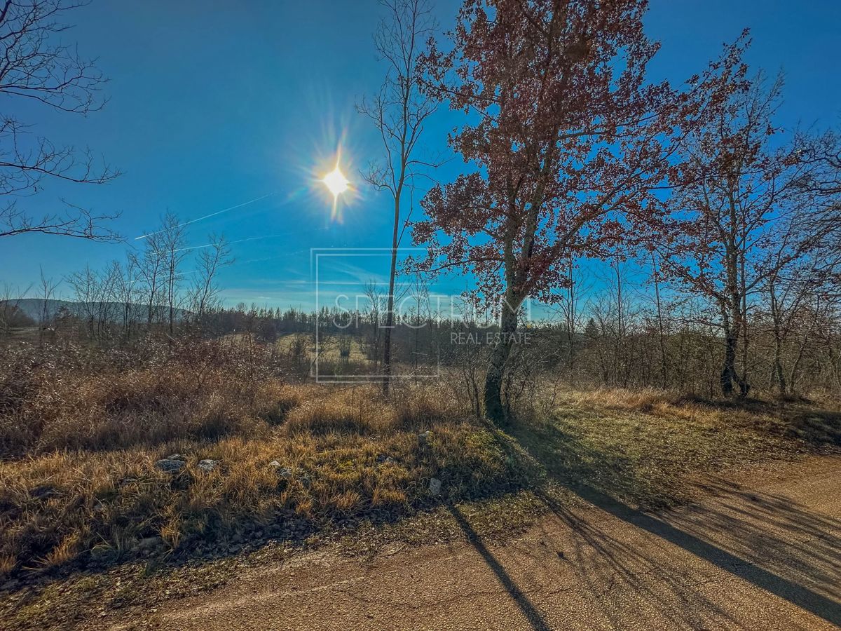 Zona di Grisignana, ampio terreno alla fine del paese