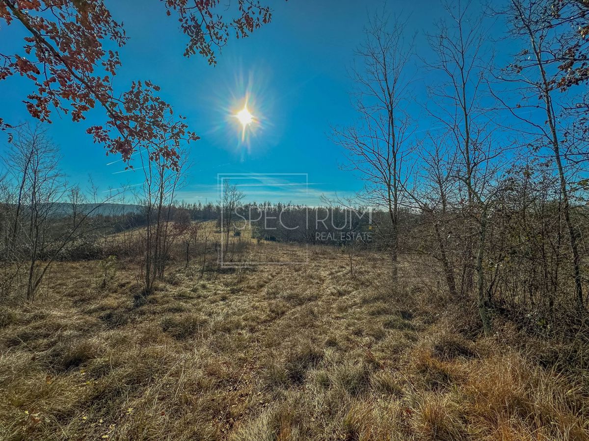Zona di Grisignana, ampio terreno alla fine del paese