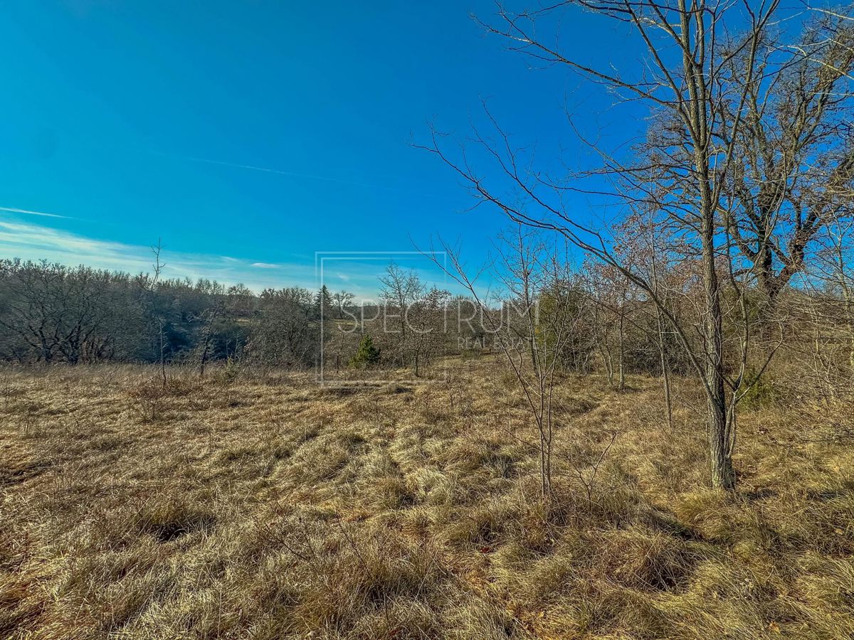 Zona di Grisignana, ampio terreno alla fine del paese