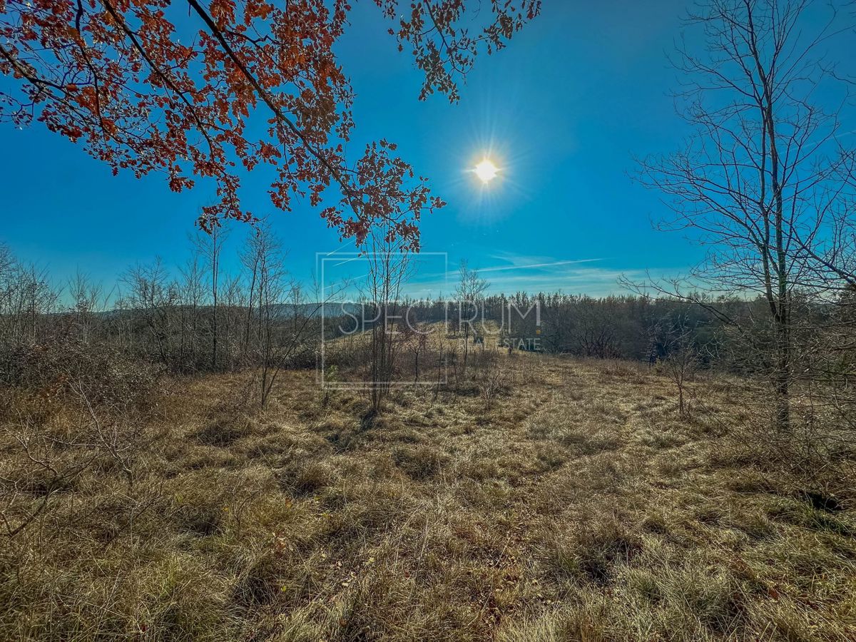 Zona di Grisignana, ampio terreno alla fine del paese