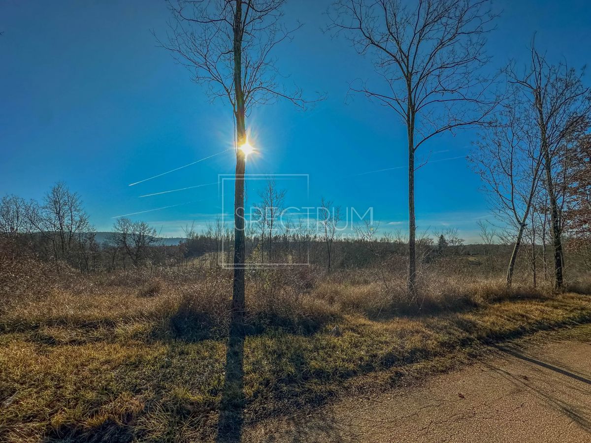 Zona di Grisignana, ampio terreno alla fine del paese