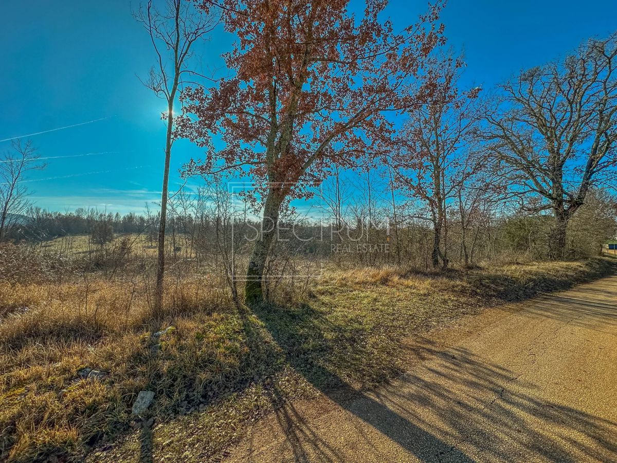 Zona di Grisignana, ampio terreno alla fine del paese