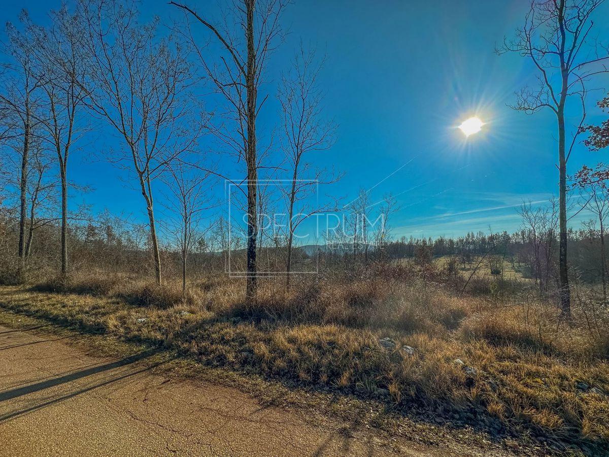 Zona di Grisignana, ampio terreno alla fine del paese