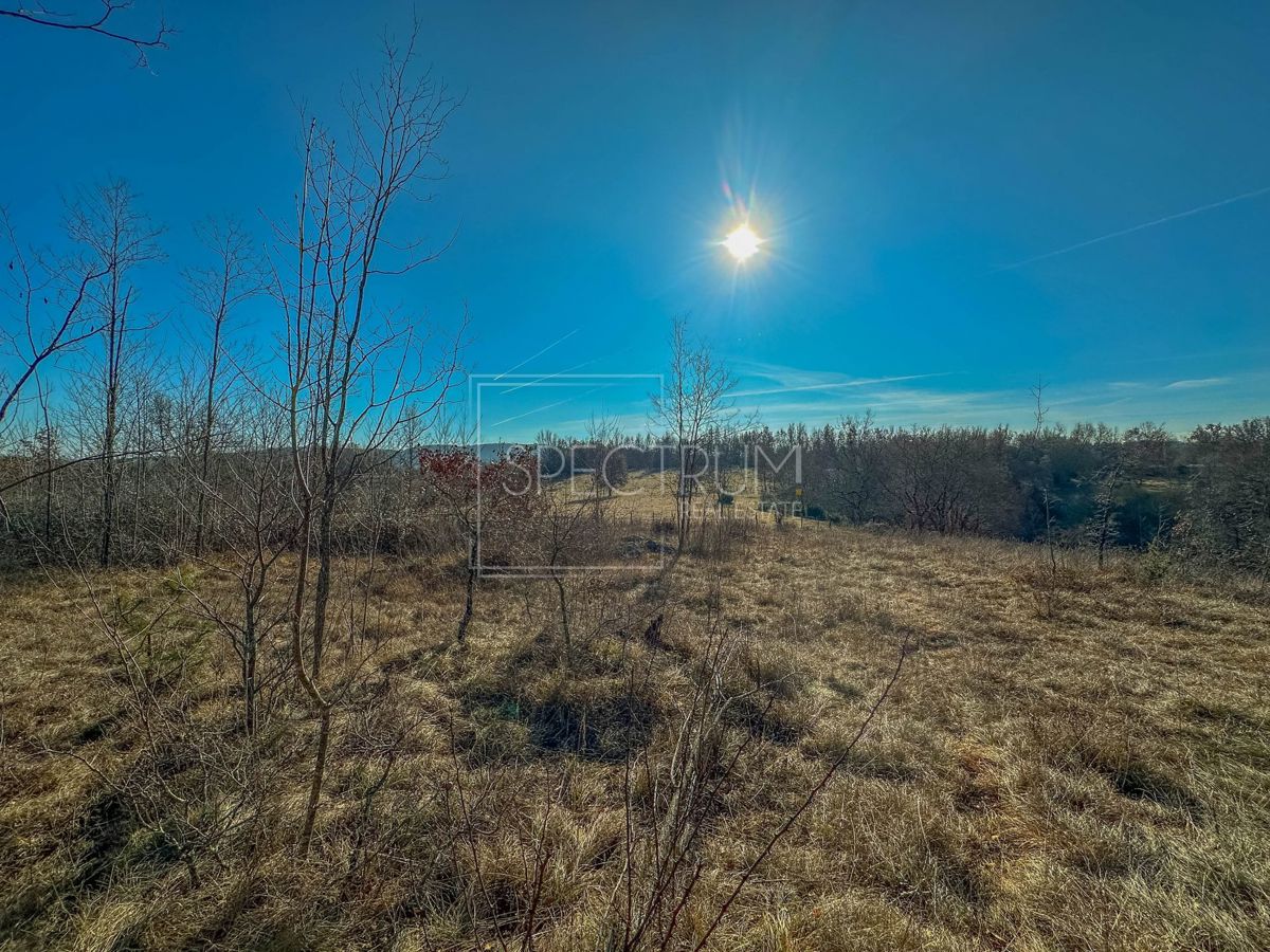 Zona di Grisignana, ampio terreno alla fine del paese