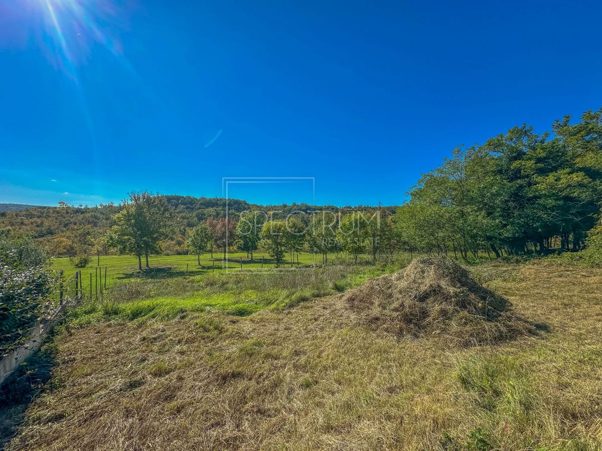 Zona di Grisignana, casa in pietra con ampio appezzamento di terreno