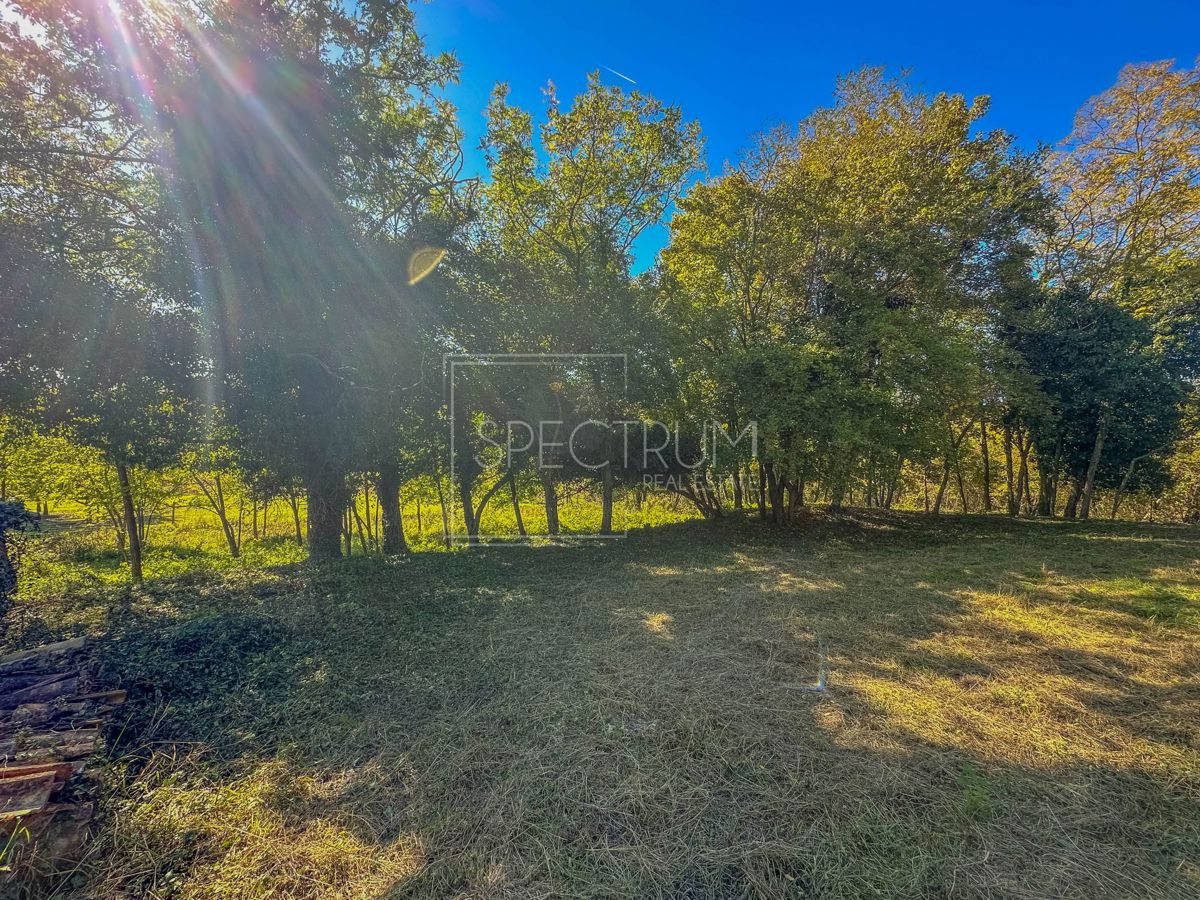 Zona di Grisignana, casa in pietra con ampio appezzamento di terreno