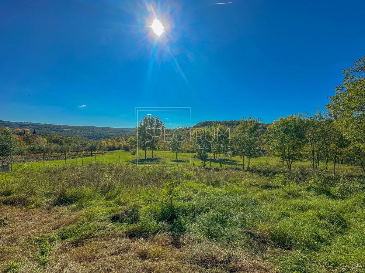 Zona di Grisignana, casa in pietra con ampio appezzamento di terreno