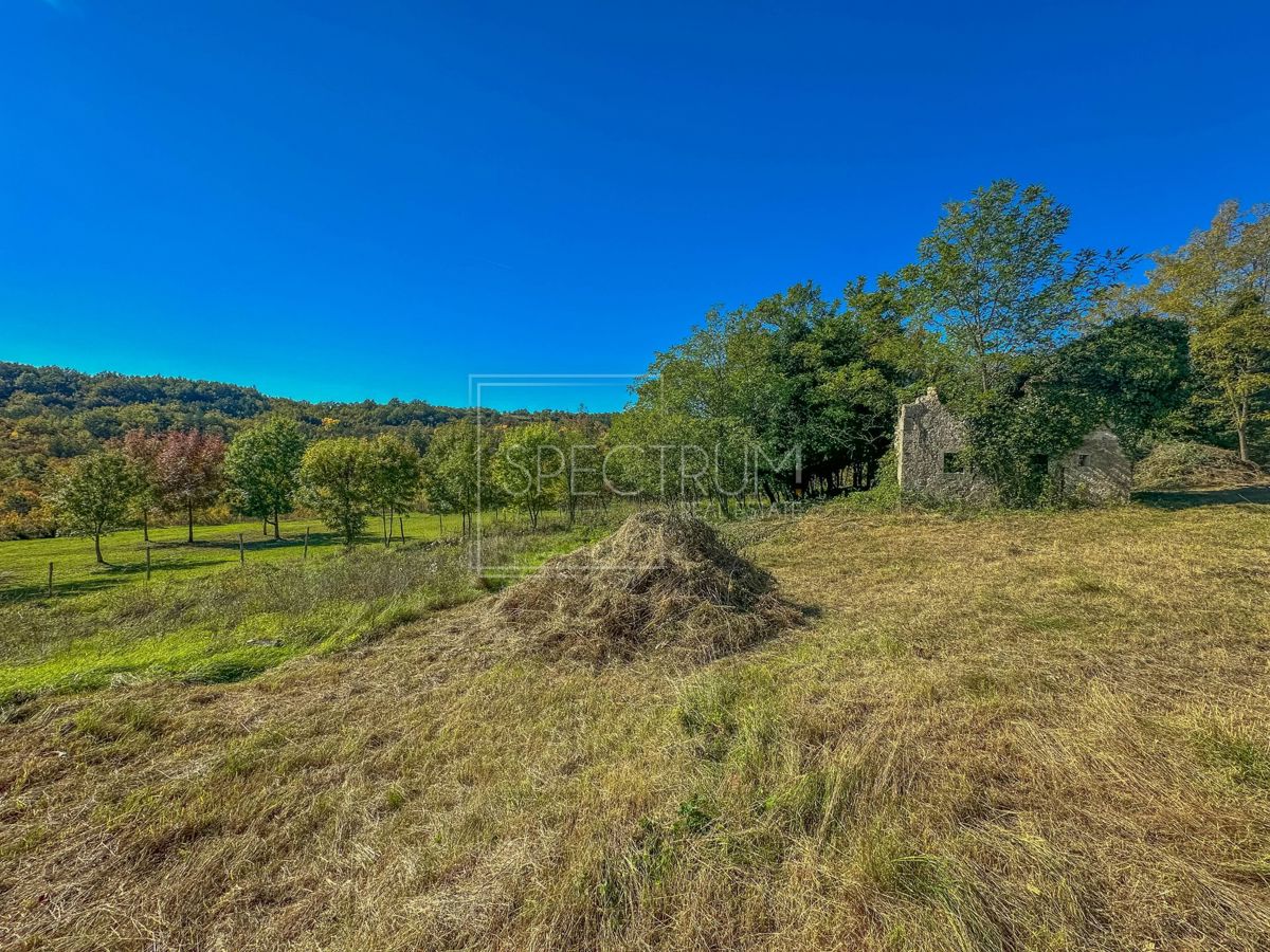 Zona di Grisignana, casa in pietra con ampio appezzamento di terreno