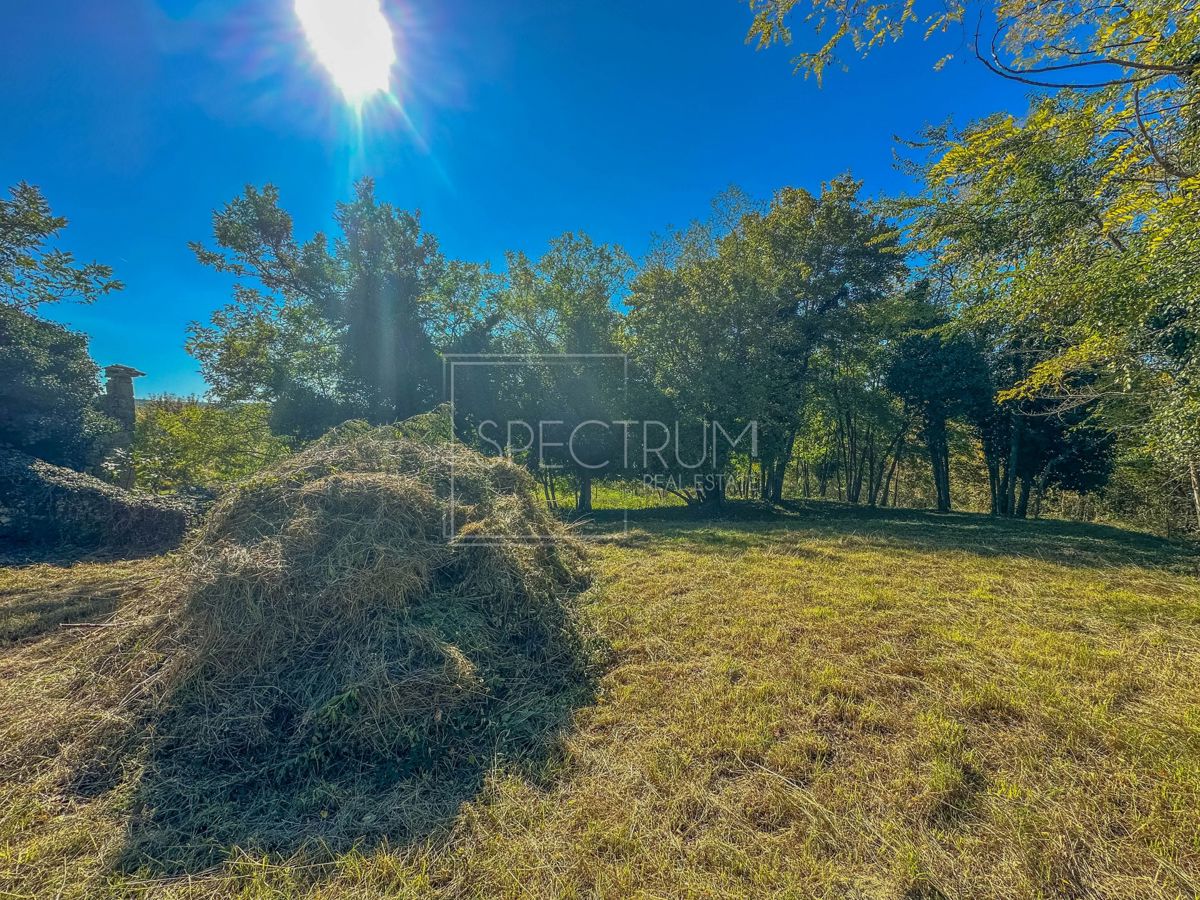 Zona di Grisignana, casa in pietra con ampio appezzamento di terreno