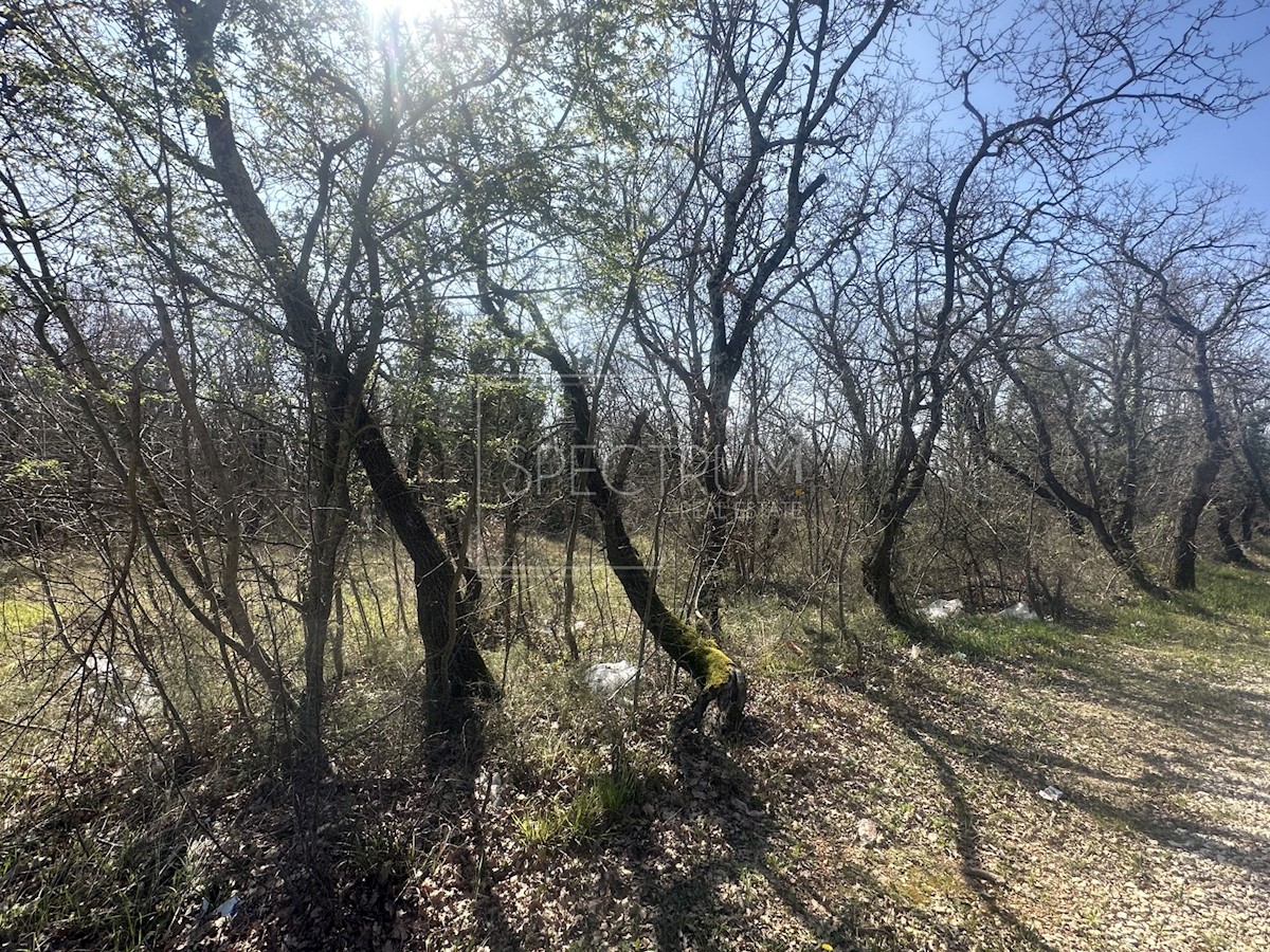 Umago, terreno agricolo lungo la strada