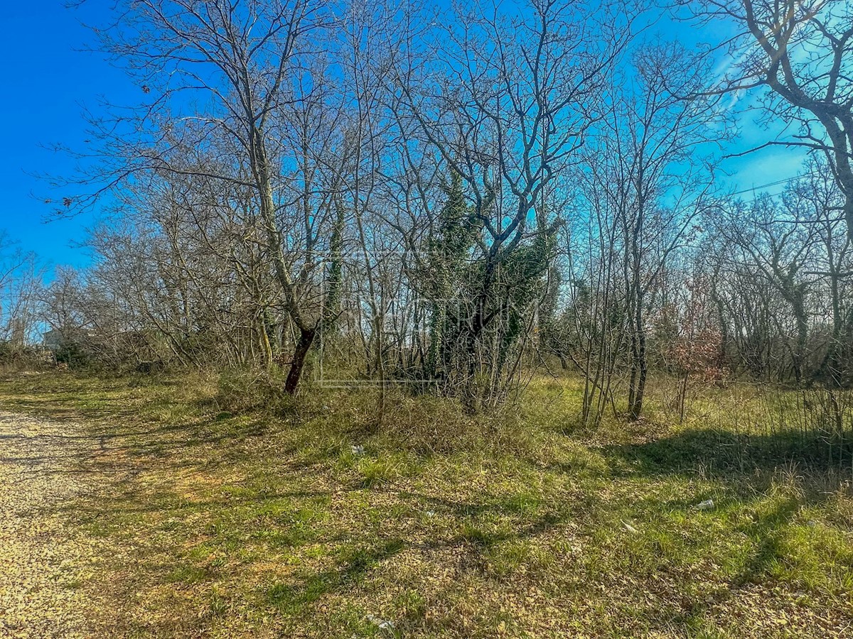 Umago, terreno agricolo lungo la strada