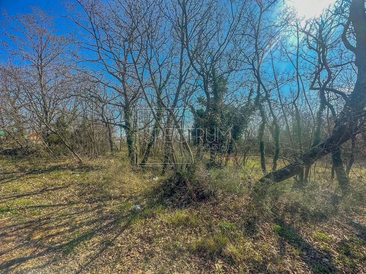 Umago, terreno agricolo lungo la strada