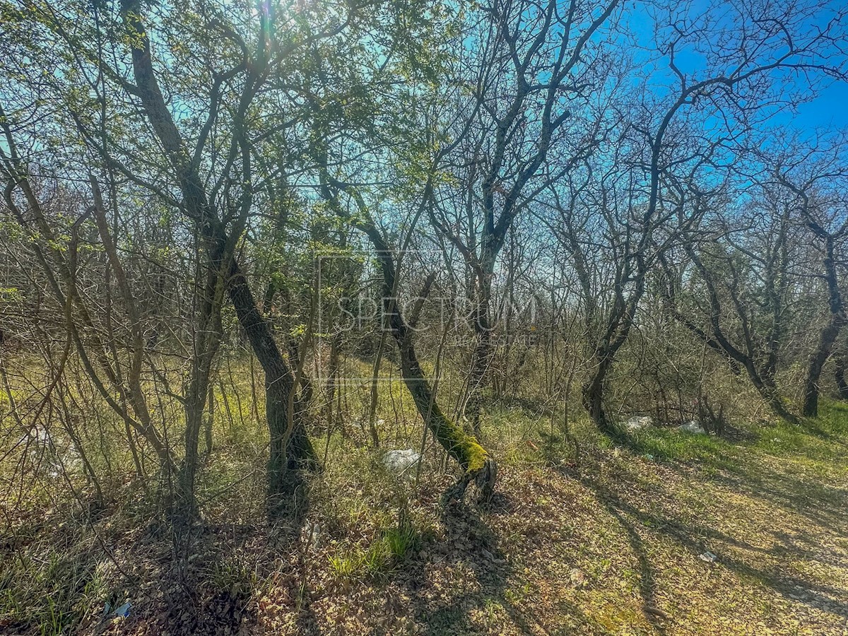 Umago, terreno agricolo lungo la strada