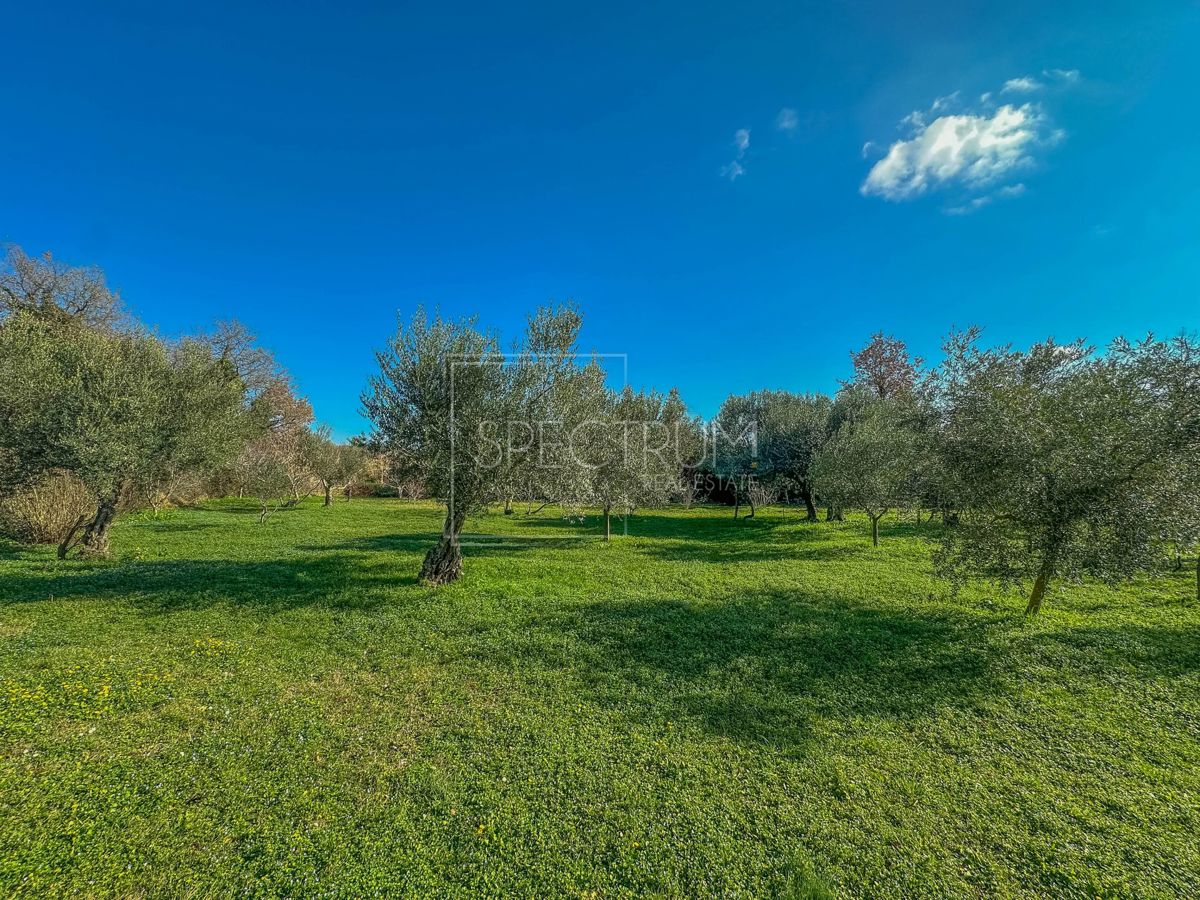 Zona di Verteneglio, casa indipendente in posizione tranquilla