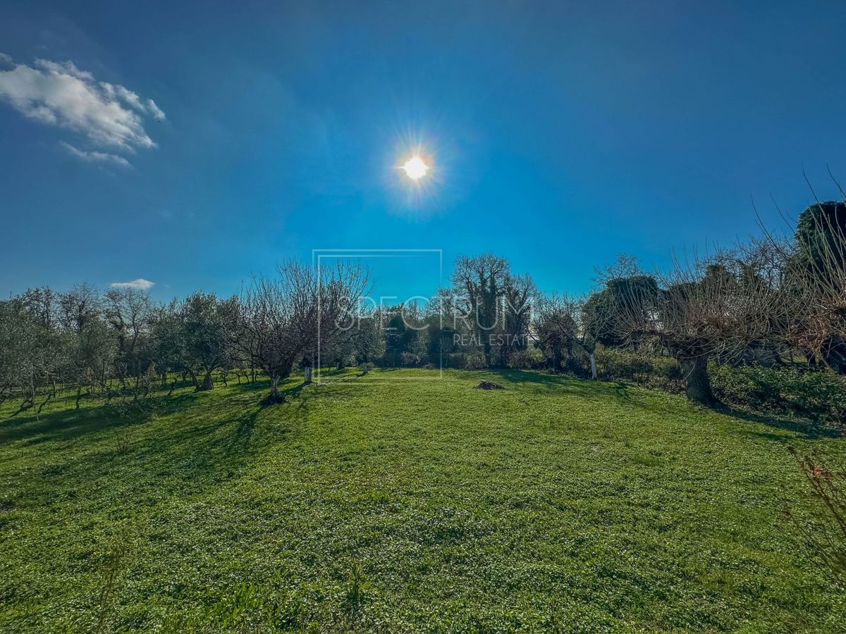 Zona di Verteneglio, casa indipendente in posizione tranquilla