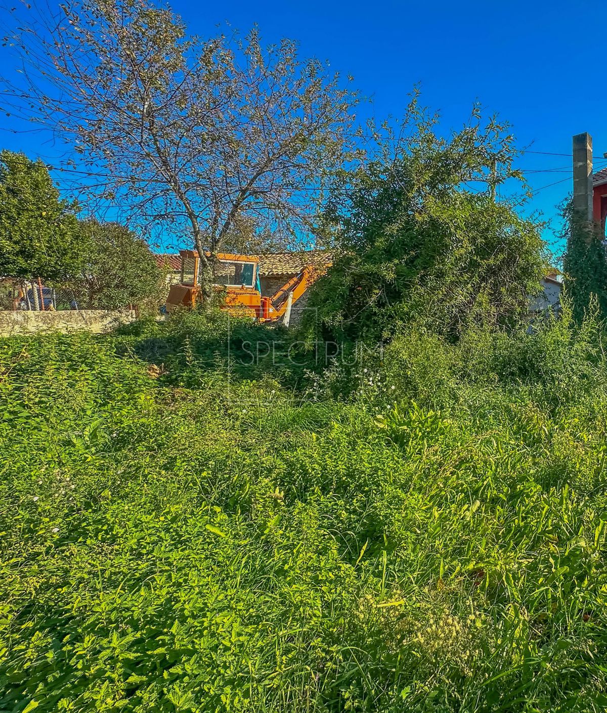 Zona di Verteneglio, casa in pietra con giardino