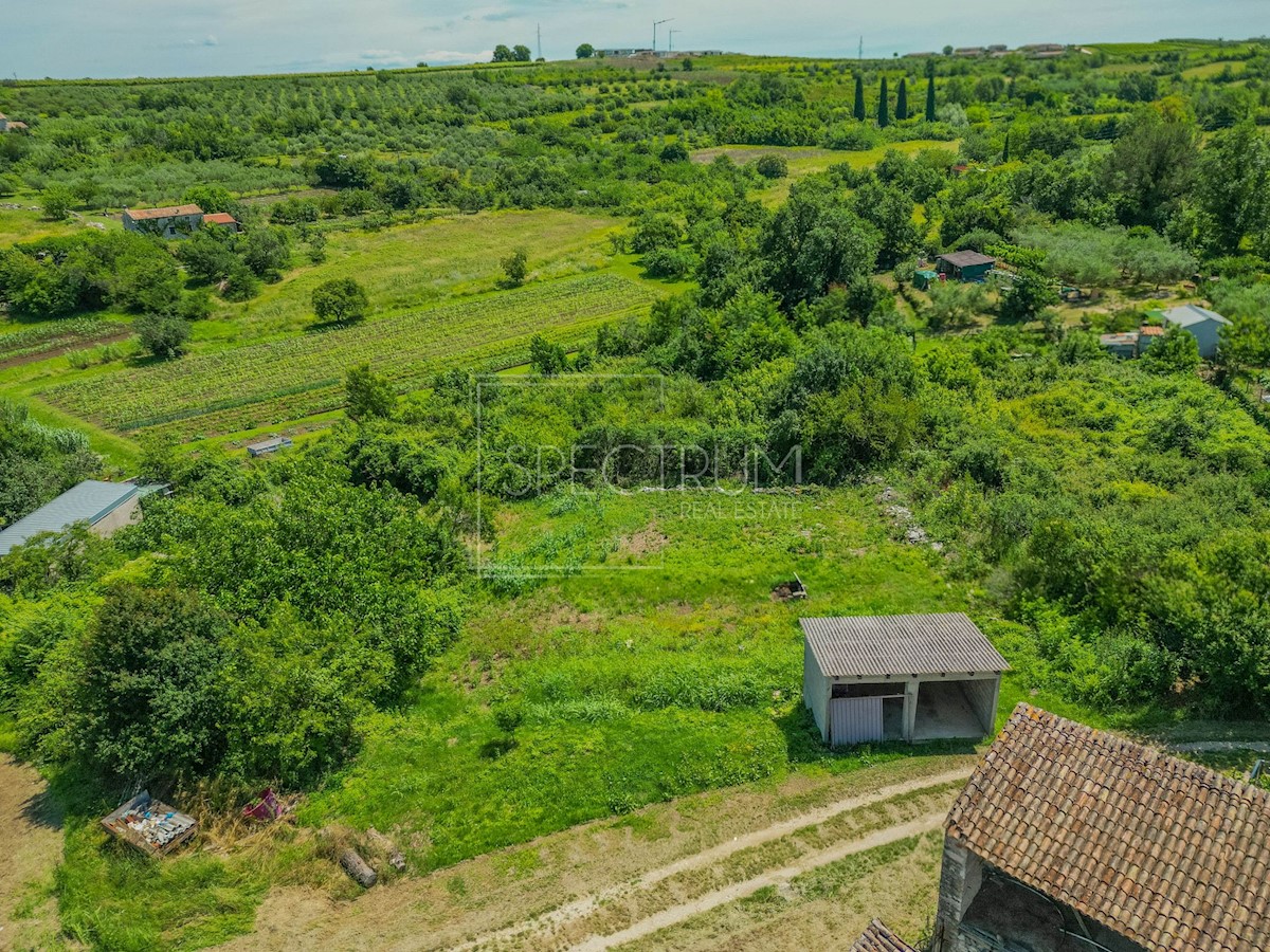 Verteneglio, terreno edificabile con progetto