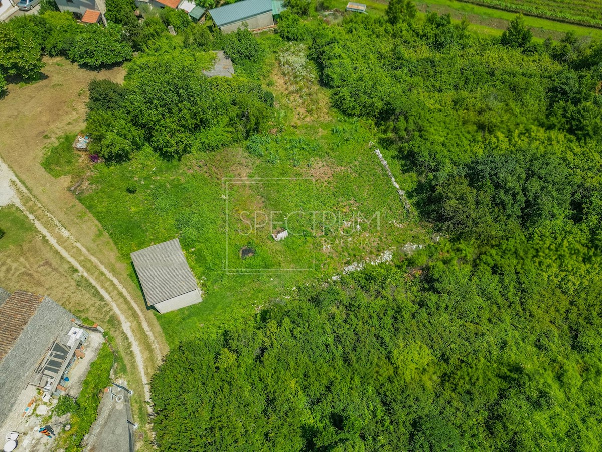 Verteneglio, terreno edificabile con progetto