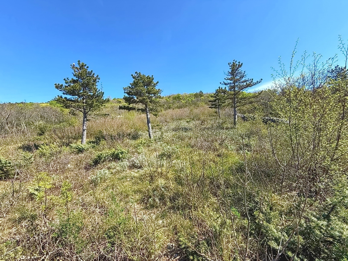 Crikvenica, interessante terreno edificabile con vista!