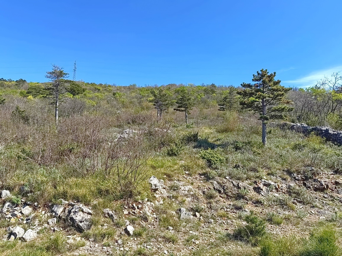 Crikvenica, interessante terreno edificabile con vista!