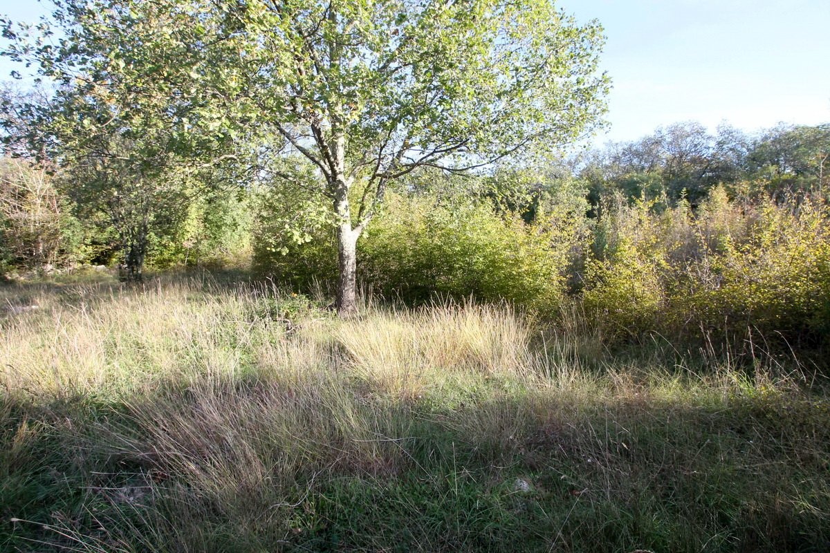 Bellissimo appezzamento di terreno in vendita