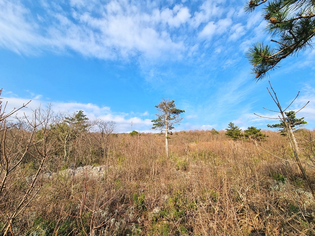 Crikvenica, terreno edificabile con vista mare!