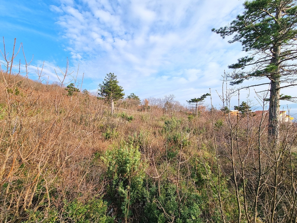Crikvenica, terreno edificabile con vista mare!