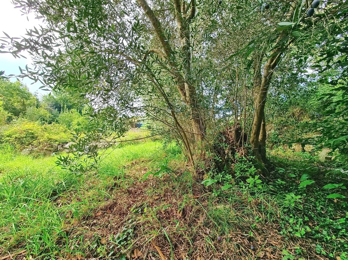 Malinska, ampio terreno edificabile in posizione tranquilla!
