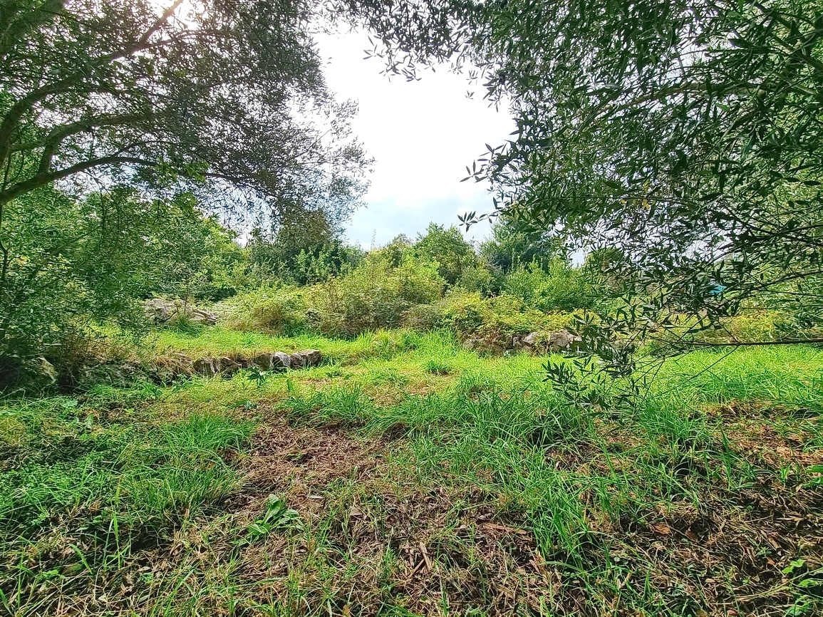 Malinska, ampio terreno edificabile in posizione tranquilla!