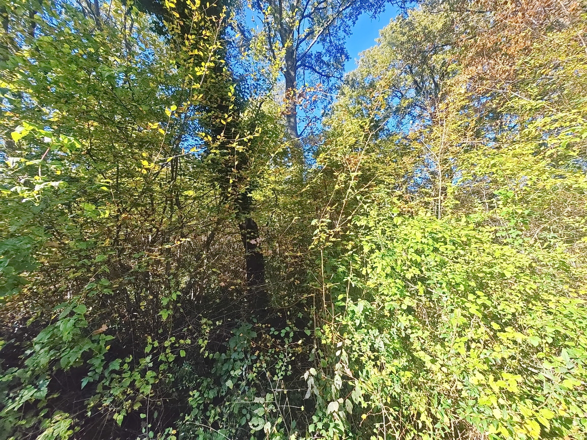 Zona di Vrbnik, terreno edificabile in posizione tranquilla!