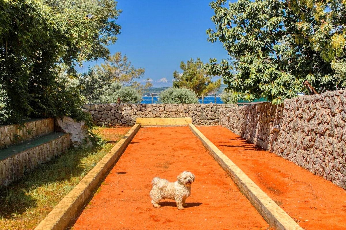 Punat, tempo al mare con piscina