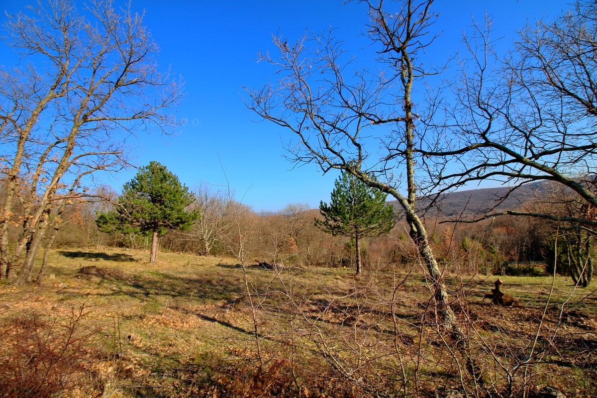 L'isola di Krk, Čižići, attraente terreno ai margini della zona di costruzione