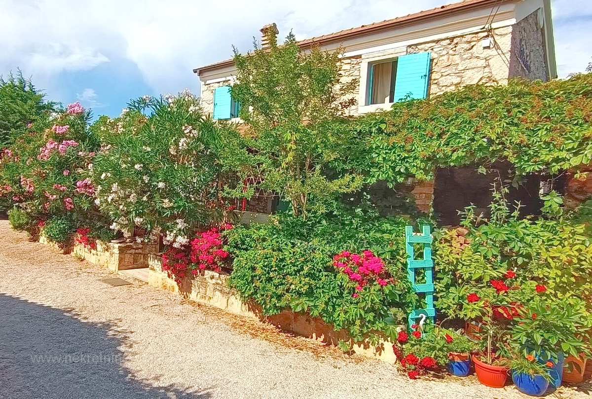 Malinska, dintorni, bella casa in pietra ristrutturata con piscina!