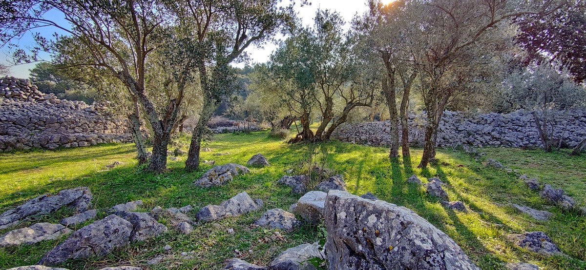 Krk, terreno per impianti sportivi vicino al mare, in vendita