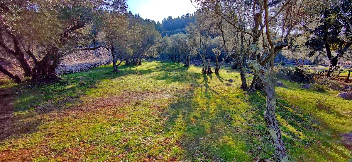 Krk, terreno per impianti sportivi vicino al mare, in vendita