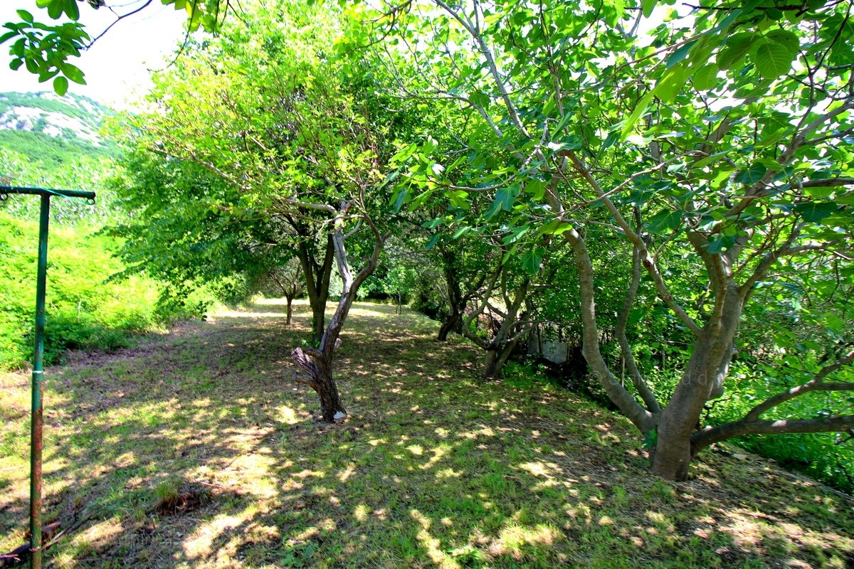 Baska, dintorni, casa in pietra a schiera con un bellissimo giardino