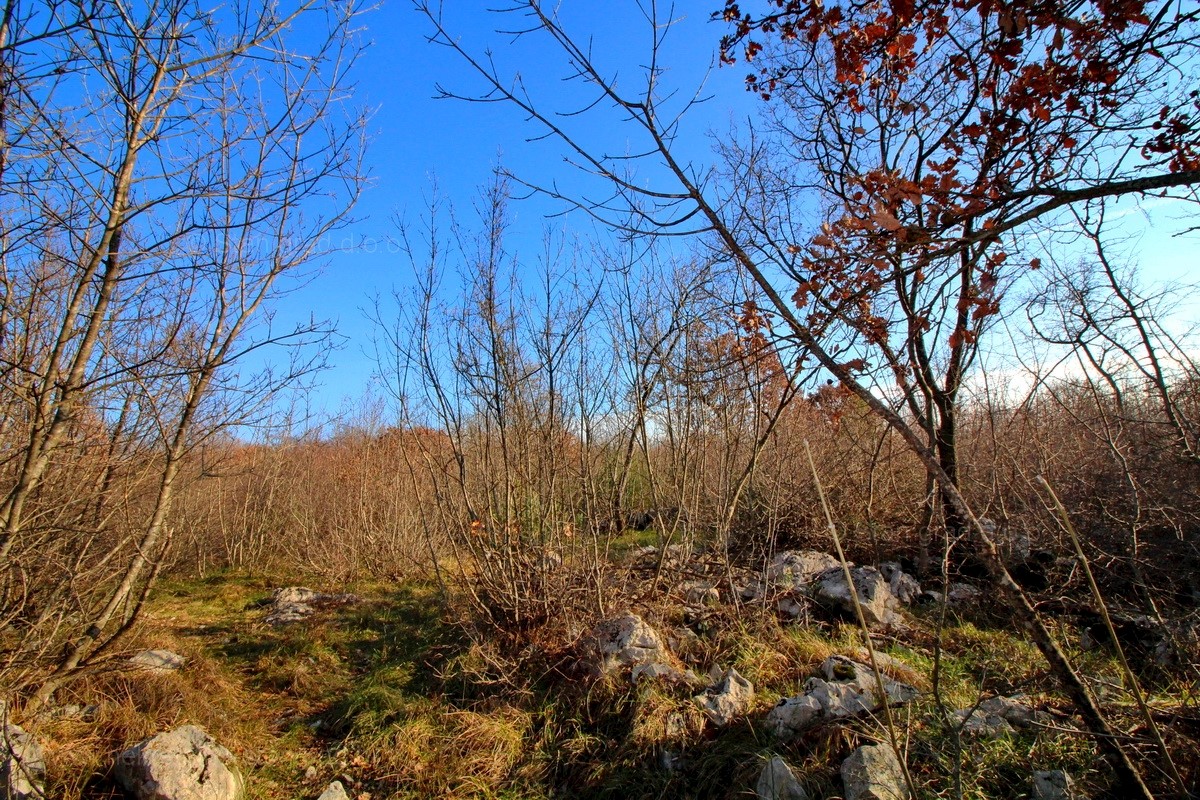 Krk, dintorni, terreno agricolo con strada di accesso, VENDITA!