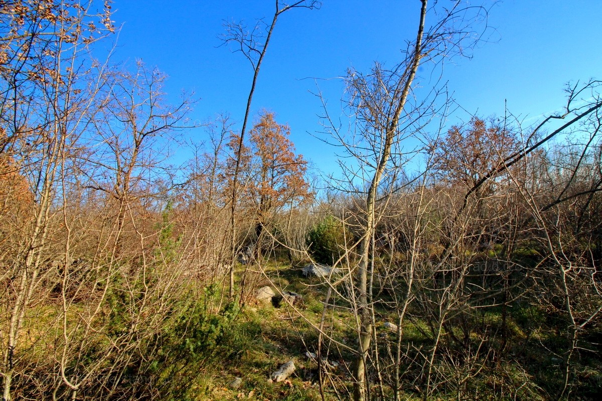 Krk, dintorni, terreno agricolo con strada di accesso, VENDITA!