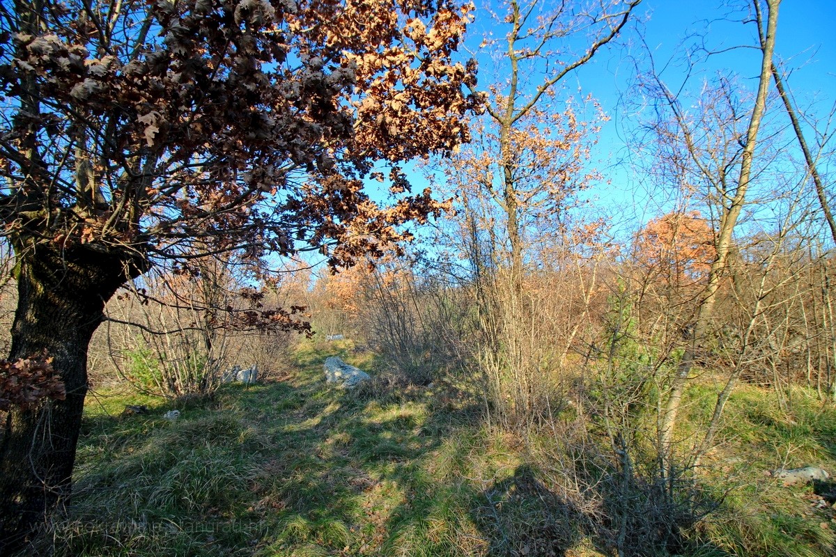 Krk, dintorni, terreno agricolo con strada di accesso, VENDITA!