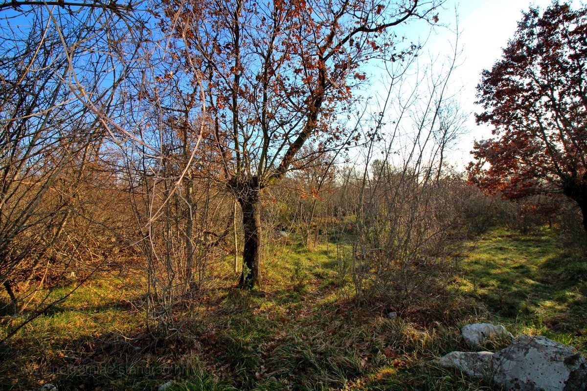 Krk, dintorni, terreno agricolo con strada di accesso, VENDITA!