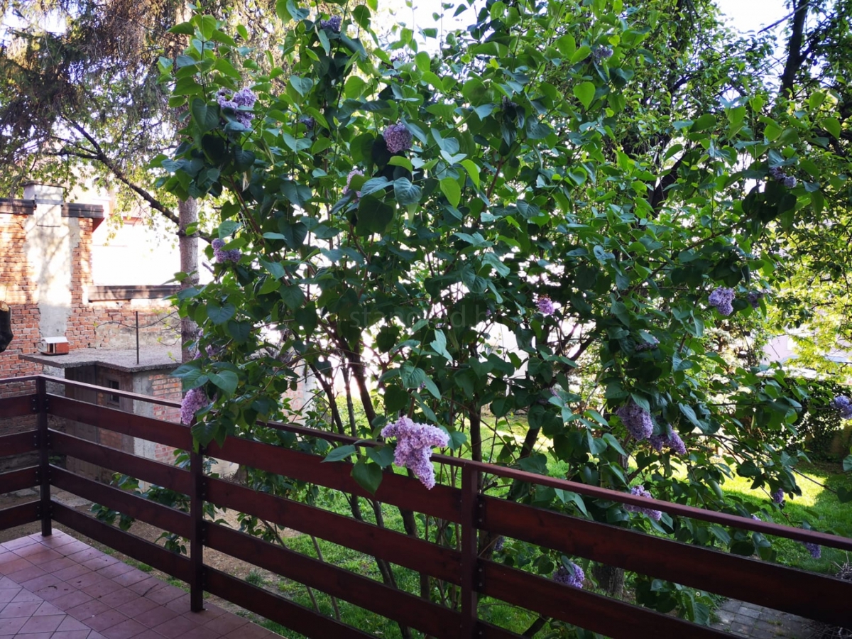 Appartamento Maksimir, 38,75m2