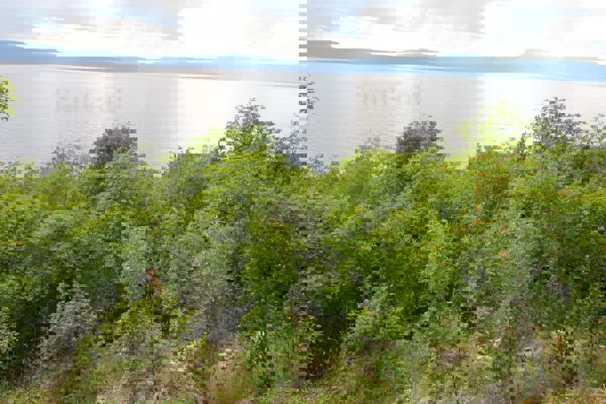 Terreno agricolo forestale a 30 m dal mare, VENDITA!