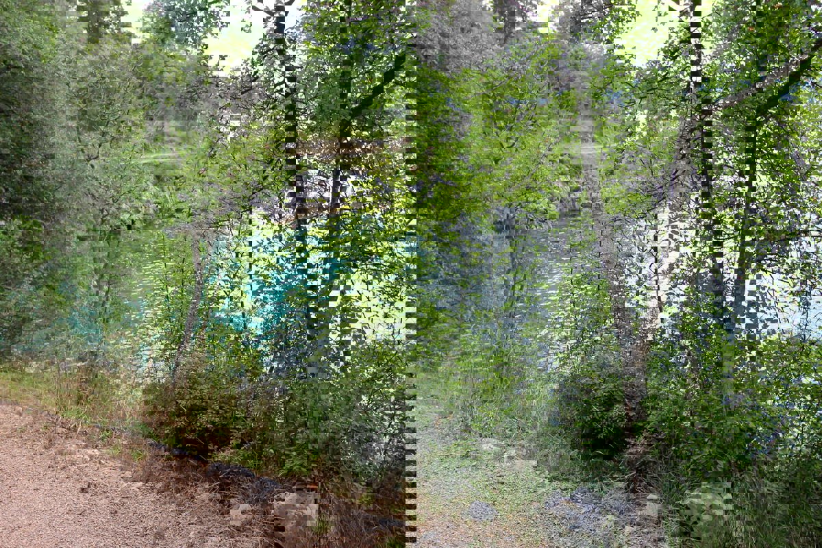 Terreno agricolo forestale a 30 m dal mare, VENDITA!