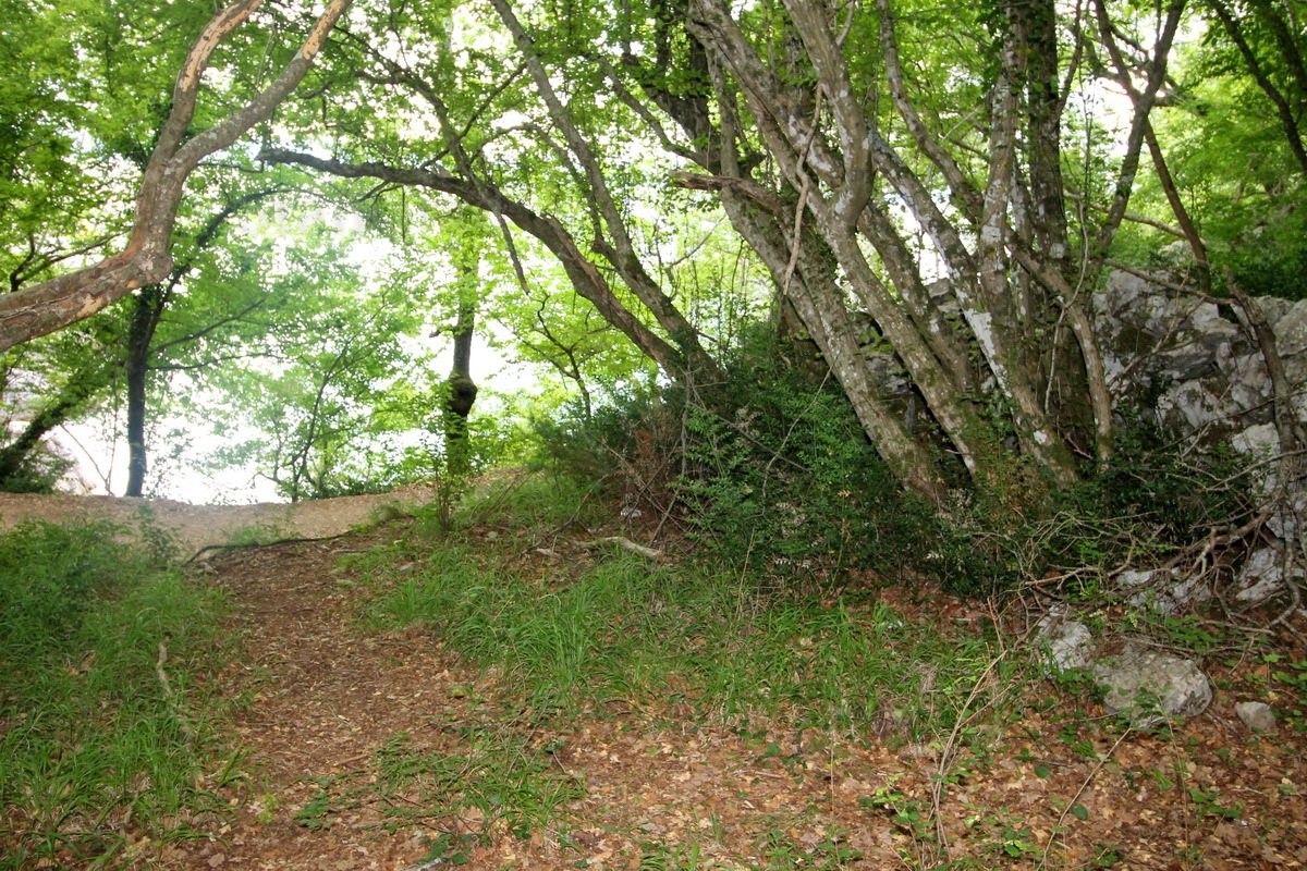 Terreno agricolo forestale a 30 m dal mare, VENDITA!