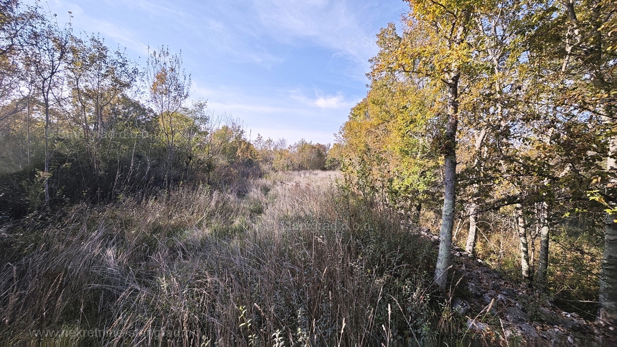 Zona Malinska, terreno agricolo ai margini della zona edificabile!