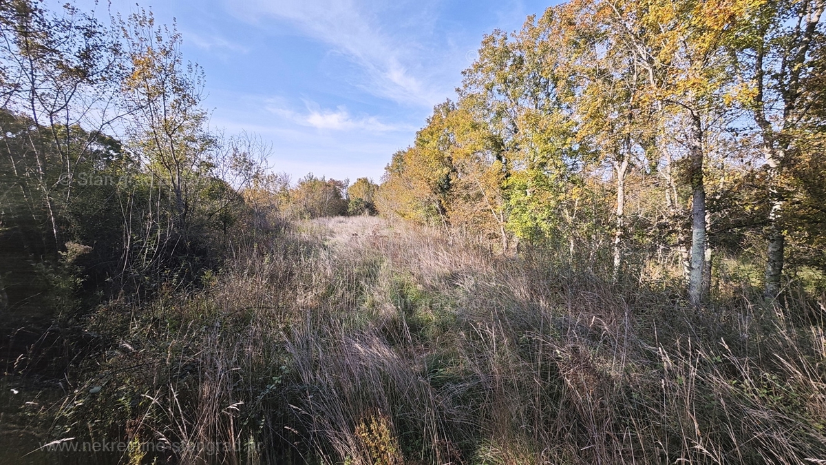 Zona Malinska, terreno agricolo ai margini della zona edificabile!