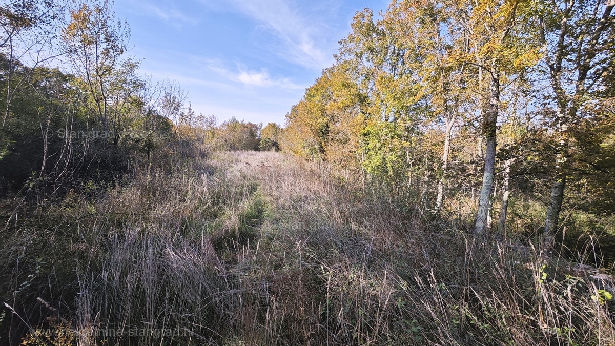 Zona Malinska, terreno agricolo ai margini della zona edificabile!