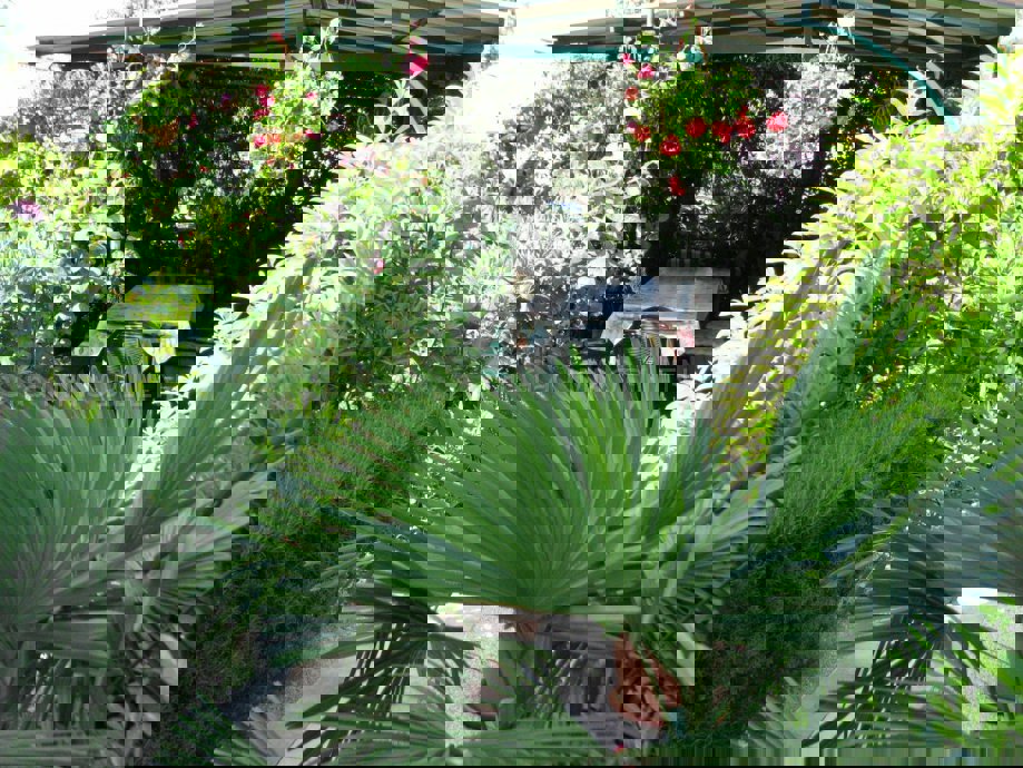 Isola di Krk, casa indipendente con piscina