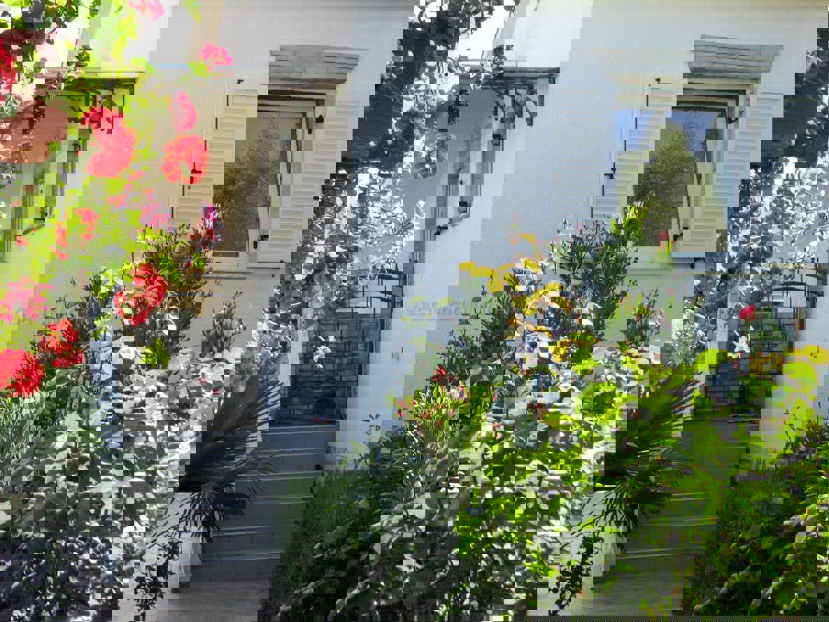 Isola di Krk, casa indipendente con piscina